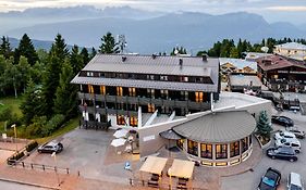 Hotel Dolomiti Chalet